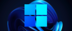 Raft for Windows 11